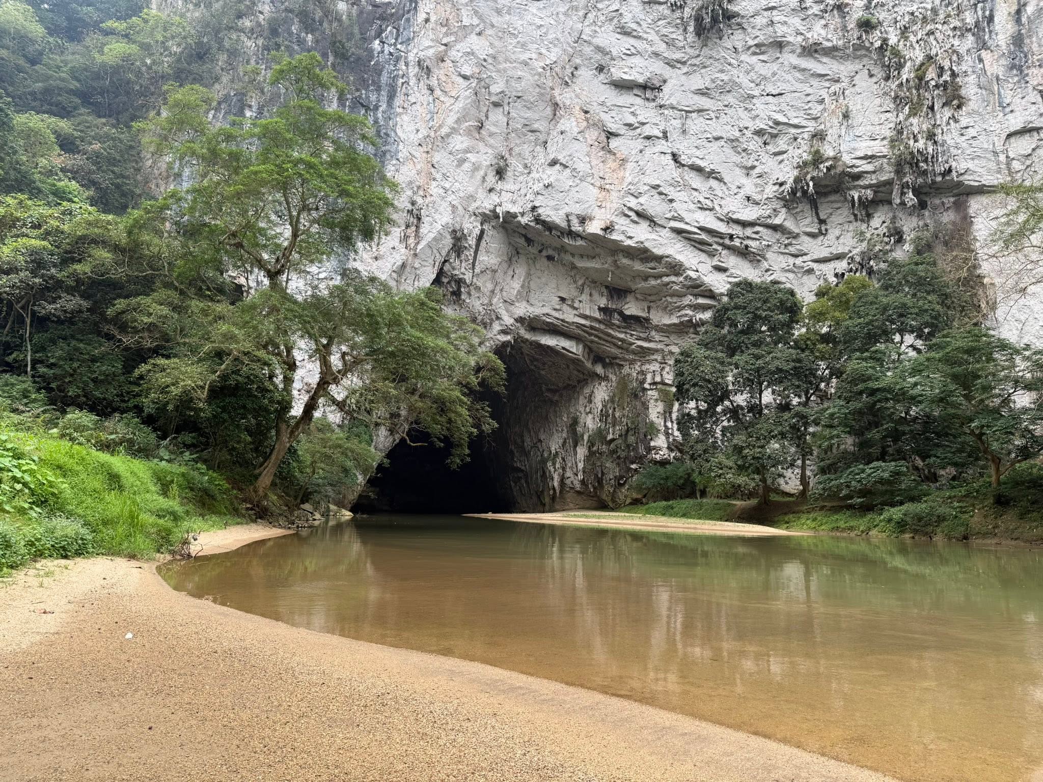 Habitat of WENH